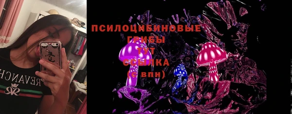 спайс Пересвет