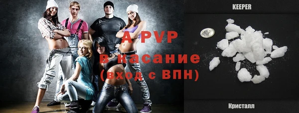 спайс Пересвет