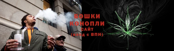 спайс Пересвет
